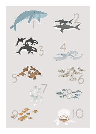 Numerot ja meren eläimet