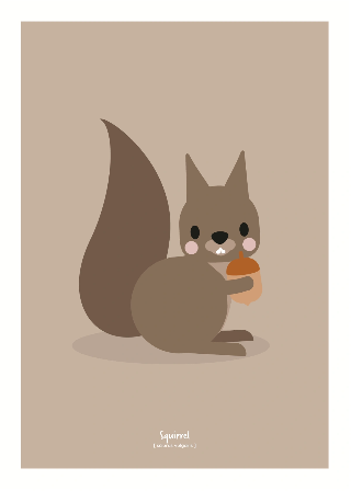 Esikatselu tuotteesta Julisteet: Orava