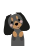 Mäyräkoira