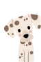 Dalmatialainen