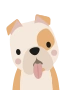 Englanninbulldoggi