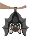 Lepakko