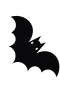 Lepakko