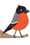 Punatulkku