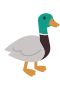 Sinisorsa