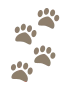 Koiranjälki