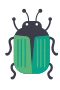 Kuoriainen