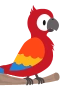 Punainen papukaija