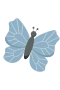 Sinisiipi