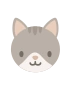 Kissanpentu