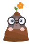 Maamyyrä