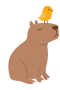 Kapybara