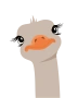 Strutsi