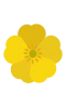 Niittyleinikki