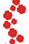 Ahkeraliisa 