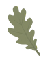 Tammenlehti