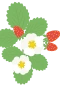 Mansikankukat