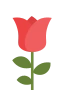 Ruusu