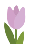 Lila tulppaani