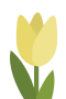 Keltainen tulppaani