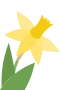 Narsissi