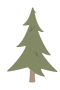 Kuusi