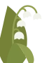 Kielo