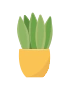 Ruukkukasvi