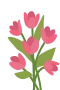 Tulppaanit