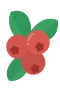 Puolukka