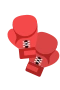Nyrkkeilyhanskat