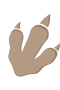 Dinotassu 1