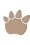 Dinotassu 3