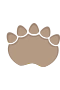 Dinotassu 4
