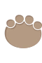 Dinotassu 5