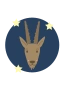 Kauris